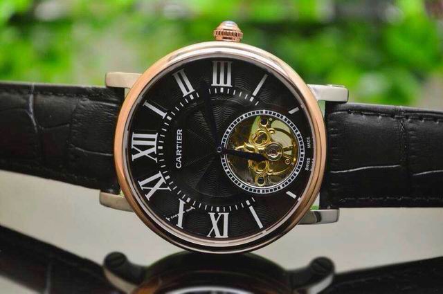 Cartier Watch 263